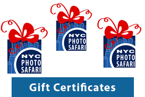 Gift Certificate